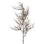 Decorative Christ's thorn branch SPROLI, brown, 28"/70cm