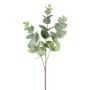 Decorative eucalyptus branch BLIFER, grey-green, 20"/50cm