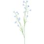 False bellflower SANDERINA, light blue, 3ft/105cm