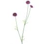 False flower branch Daisy NIKSA, dark purple, 22"/55cm