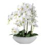 Decorative flower Phalaenopsis orchid XELAV, ceramic bowl, white, 26"/65cm