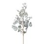 Decorative eucalyptus branch GRIFLO with fruits, white-grey, 22"/55cm