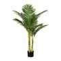 Decorative palm tree Areca JINSA, 4ft/120cm