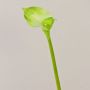 Artificial Calla MARIOLA, green, 31"/80cm, 3.1"x5.9"/8x15cm
