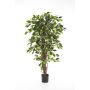 Decorative Ficus Benjamini JARLAN, real stems, green, 4ft/120cm