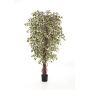 Fake plant Ficus Benjamini DAKU, natural trunks, green-white, 3ft/90cm