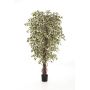 Fake plant Ficus Benjamini DAKU, natural trunks, green-white, 4ft/120cm
