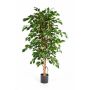 Artificial Ficus Benjamina THIAGO, natural trunks, green, 4ft/120cm
