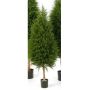 Decorative Cedar tree YVONNE, green, 4ft/120cm
