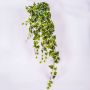 Artificial ivy plant MAJA on spike, green-white, 3ft/100cm