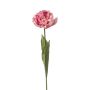 False parrot tulip LIOMARA, light purple, 26"/65cm