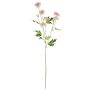 False flower branch Chrysanthemum REINHARDA, pink-white, 26"/65cm