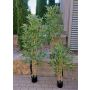 Artificial tree Bamboo SEUMAS, natural stems, 5ft/150cm