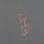 Artificial flower branch Cattleya orchid TRASSA, fuchsia-white-yellow, 31"/80cm