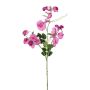 Artificial branch Lathyrus latifolius PLENVO, pink, 30"/75cm