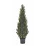 Decorative cedar EDELA, crossdoor, green, 4ft/120cm
