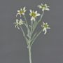 Artificial flower Alpine Edelweiss SOPHIA, white, 16"/40cm, Ø 2"-2.4"/5-6cm