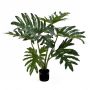 Decorative plant Philodendron Selloum LAINA, 24"/60cm