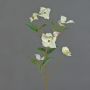 Artificial Japanese dogwood branch KOHANA, flowering, cream, 28"/70cm