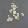 Decorative branch Japanese ornamental cherry RUKIA, flowering, white, 3ft/90cm