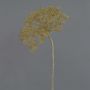 Plastic Heracleum ANSARI, brown, 31"/80cm, Ø 9"/22cm