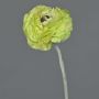 Artificial ranunculus ALIMA, green, 14"/35cm, Ø 3.1"/8cm