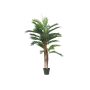 Decorative Kentia palm JORGANA, 4ft/120cm