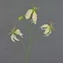 Artificial Gloriosa flower TIANA, pink-green, 31"/80cm, Ø 3.1"-5.9"/8-15cm