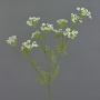 Artificial dill branch WINCENT with flowers, white-green, 31"/80cm