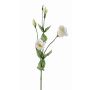 Artificial Lisianthus flower JUDIKA, white-green, 28"/70cm, Ø 2"/5cm
