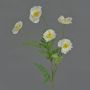 Artificial poppy KEIRA, white, 26"/65cm, Ø 2"/5cm