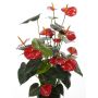 Plastic Anthurium LIOSA, flowering, spike, red, 31"/80cm, 3.1"x4"/8x10cm