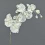 Artificial Phalaenopsis orchid MYRIA, snow, white, 30"/75cm