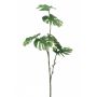 Decorative Philodendron Monstera Deliciosa AECIO, spike, 28"/70cm