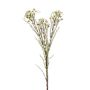 Artificial hoya flower MEDEA, cream, 31"/80cm