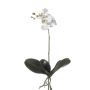 Artificial moth orchid FAO, spike, white, 18"/45cm