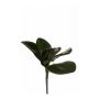 Decorative leaves Phalaenopsis orchid NIUT, spike, green, 10"/25cm