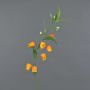 Decorative chinese lantern lily MASARU, orange-yellow, 3ft/95cm