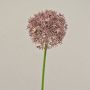 Artificial Allium flower ARNAU, light pink, 24"/60cm
