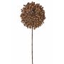 Dried flower allium BOCELLI, brown, 28"/70cm, Ø 5.5"/14cm
