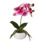 Artificial Phalaenopsis orchid KASDA, ceramic bowl, roots, fuchsia, 11"/27cm