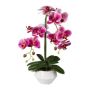 Artificial Phalaenopsis orchid KASDA, ceramic pot, roots, fuchsia, 20"/50cm