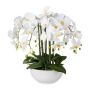 Artificial Phalaenopsis orchid KASDA, ceramic bowl, roots, white, 22"/55cm