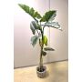 Plastic colocasia YORICK, green, 6ft/180cm