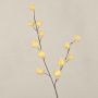 Decorative branch Gomphocarpus ELAENA, fruits, beige-violet, 3ft/100cm