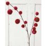 Decorative branch Gomphocarpus ELAENA, fruits, burgundy red, 3ft/100cm