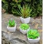 Artificial Echeveria gibbiflora KATNISS, ceramic pot, green, 2.4"/6cm