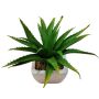 Artificial aloe vera KATNISS, ceramic pot, green, 7"/19cm