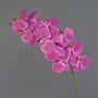 False branch Phalaenopsis orchid XURI, fuchsia, 3ft/100cm
