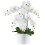 Artificial Phalaenopsis orchid TOUNI, ceramic pot, roots, white, 24"/60cm
